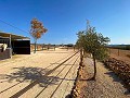 Mooi landelijk huis met zwembad in Pinoso in  Dream Villas Alicante