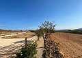 Mooi landelijk huis met zwembad in Pinoso in  Dream Villas Alicante