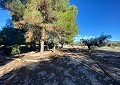 Landhaus in Sax mit 28.000m2 Grundstück in  Dream Villas Alicante