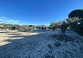  Landhaus in Sax mit 28.000m2 Grundstück in  Dream Villas Alicante