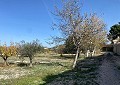  Landhaus in Sax mit 28.000m2 Grundstück in  Dream Villas Alicante