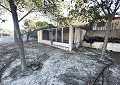  Landhaus in Sax mit 28.000m2 Grundstück in  Dream Villas Alicante