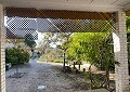  Landhaus in Sax mit 28.000m2 Grundstück in  Dream Villas Alicante