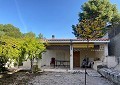 Landhaus in Sax mit 28.000m2 Grundstück in  Dream Villas Alicante