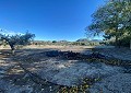  Landhaus in Sax mit 28.000m2 Grundstück in  Dream Villas Alicante