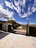 Beautiful Villa in Yecla in  Dream Villas Alicante