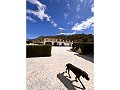 Beautiful Villa in Yecla in  Dream Villas Alicante