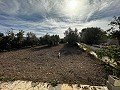 Lovely 7 Bed, 3 Bath Country House with private pool in Sax in  Dream Villas Alicante