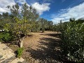 Lovely 7 Bed, 3 Bath Country House with private pool in Sax in  Dream Villas Alicante
