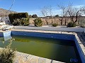 Villa with Pool in Caudete in  Dream Villas Alicante