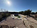 Villa with Pool in Caudete in  Dream Villas Alicante