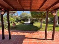 Beautiful 5 Bedroom 5 Bath Villa in Pena de Las Aguilas, Elche in  Dream Villas Alicante