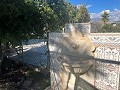 Fantastisch landhuis met privézwembad in  Dream Villas Alicante
