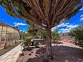 Wunderschöne Villa mit Pool in Hondon De Los Frailes in  Dream Villas Alicante