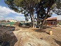 Villa met 4 slaapkamers en 2 badkamers en een houten huis met 4 slaapkamers en 2 badkamers te koop in La Romana. in  Dream Villas Alicante