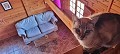 Villa met 4 slaapkamers en 2 badkamers en een houten huis met 4 slaapkamers en 2 badkamers te koop in La Romana. in  Dream Villas Alicante