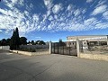 Amazing Modern Mansion in Yecla  in  Dream Villas Alicante