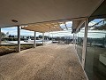 Amazing Modern Mansion in Yecla  in  Dream Villas Alicante