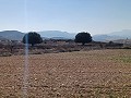 Lovely 3 Bedroom 2 Bathroom New build Villa land included in Torre del Rico.  in  Dream Villas Alicante
