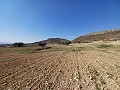 Preciosa villa de nueva construcción de 3 dormitorios y 2 baños, terreno incluido en Pinoso. in  Dream Villas Alicante