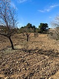 Herrlicher netzunabhängiger Reiterhof in Almansa in  Dream Villas Alicante