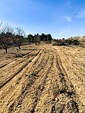 Herrlicher netzunabhängiger Reiterhof in Almansa in  Dream Villas Alicante