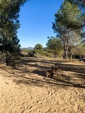 Herrlicher netzunabhängiger Reiterhof in Almansa in  Dream Villas Alicante