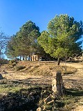 Herrlicher netzunabhängiger Reiterhof in Almansa in  Dream Villas Alicante