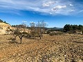 Herrlicher netzunabhängiger Reiterhof in Almansa in  Dream Villas Alicante