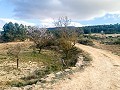 Herrlicher netzunabhängiger Reiterhof in Almansa in  Dream Villas Alicante