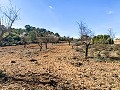 Herrlicher netzunabhängiger Reiterhof in Almansa in  Dream Villas Alicante