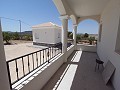 Villas de Obra Nueva en Pinoso con piscina y parcela in  Dream Villas Alicante