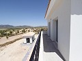 Villas de Obra Nueva en Pinoso con piscina y parcela in  Dream Villas Alicante