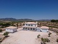 Villas de Obra Nueva en Pinoso con piscina y parcela in  Dream Villas Alicante