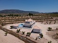 Villas de Obra Nueva en Pinoso con piscina y parcela in  Dream Villas Alicante