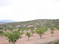 Luxus-Neubauvilla in  Dream Villas Alicante
