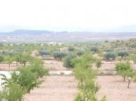 Luxus-Neubauvilla in  Dream Villas Alicante
