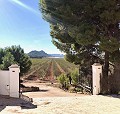 Exklusive Off-Grid-Villa auf dem Gipfel des Berges in Villena in  Dream Villas Alicante