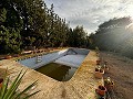 Lovely 4 Bedroom 2 Bathroom House/Chalet in Urb Loma Bada in  Dream Villas Alicante
