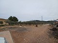 Landhuis te koop nabij La Romana in  Dream Villas Alicante