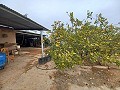 Landhuis te koop nabij La Romana in  Dream Villas Alicante