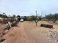 Landhuis te koop nabij La Romana in  Dream Villas Alicante
