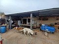 Landhuis te koop nabij La Romana in  Dream Villas Alicante