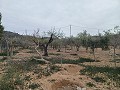 Landhuis te koop nabij La Romana in  Dream Villas Alicante