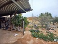 Landhuis te koop nabij La Romana in  Dream Villas Alicante