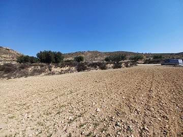 Terrain à vendre à Pinoso.