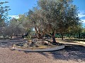 Lovely 3 Bedroom 2 Bathroom Villa in Aspe in  Dream Villas Alicante
