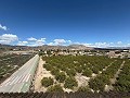 Wunderschönes Stadthaus in Fortuna in  Dream Villas Alicante