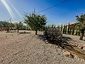 Atemberaubende Neubauvillen  in  Dream Villas Alicante