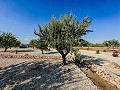 Atemberaubende Neubauvillen  in  Dream Villas Alicante